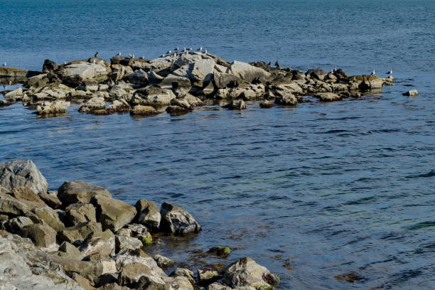 istock Seashore black sea by Nessebar 1095896012
