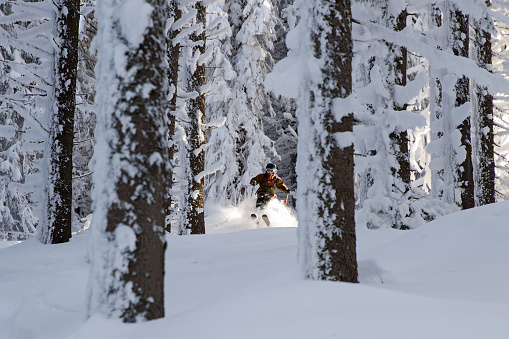 Free-skier riding in wilderness mountain area in sunny winter day