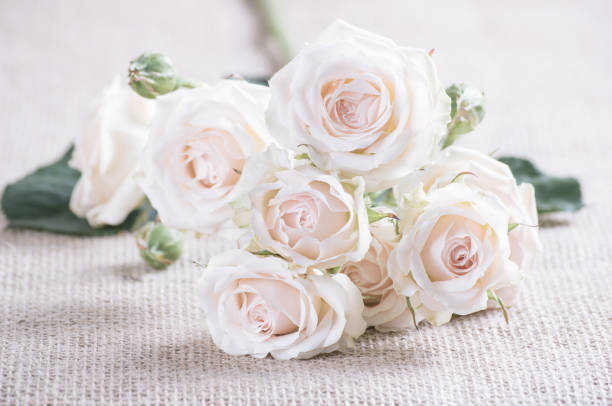 istock Floral background with roses bouquet 1095898638