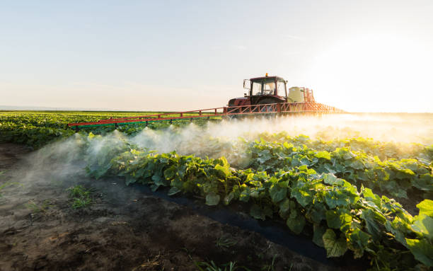 istock Farmer on a tractor with a sprayer makes fertilizer for young vegetables 1095908306