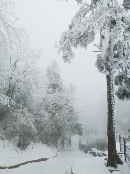istock Zigzag footpath in snowy forest,Emei shan. 1095915740