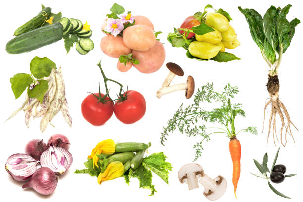 istock collection vegetables collection vegetables isolated on white background 1095918514