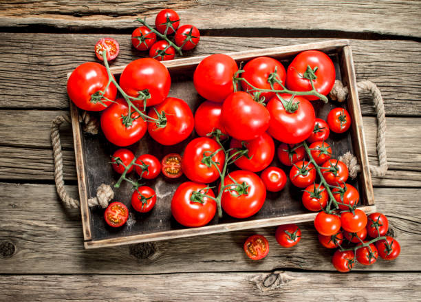 istock Fresh tomatoes in a wooden tray. 1095921480