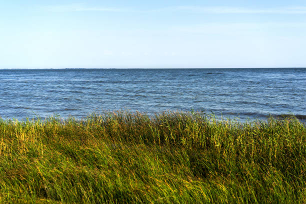 istock Landscape with sea, blue sky and grass 1095925164