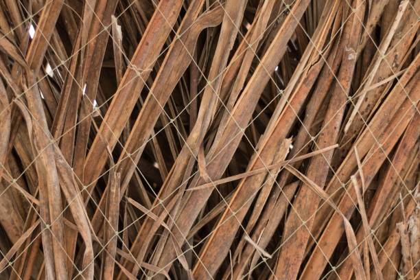 istock texture leaves wiring wire wallpaper 1095933080