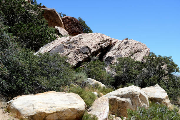 istock Hillside in Red Rock Canyon, Nevada, USA 1095939392