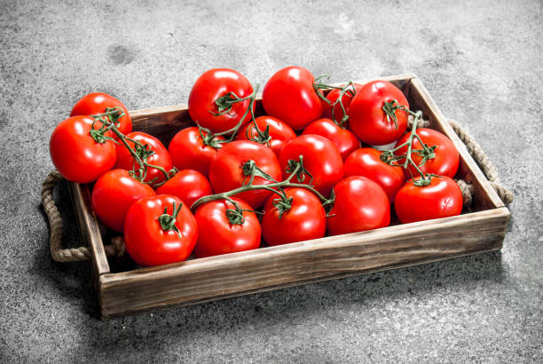 istock Ripe tomatoes on a wooden tray. 1095941926