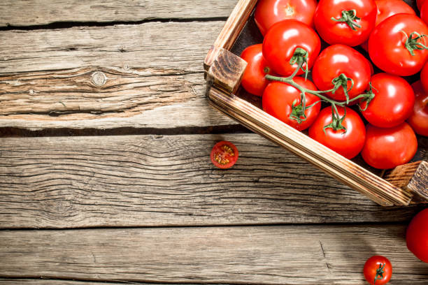 istock Ripe tomatoes in a wooden box. 1095948650