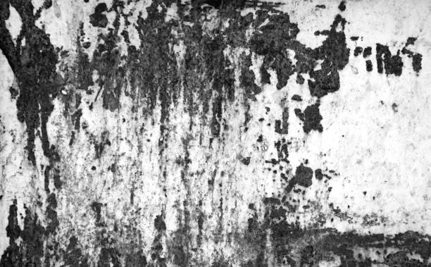 istock Grungy rusted metal surface in black and white. 1095952790