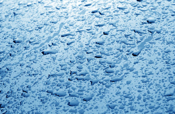 gocce d'acqua sulla superficie dell'auto in tono blu navy. - 13633 foto e immagini stock