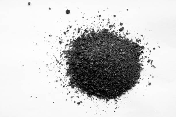 istock Red paprika on white background in black and white. 1095953364