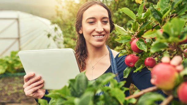 istock She has apps to assist her through the harvesting process 1095958208