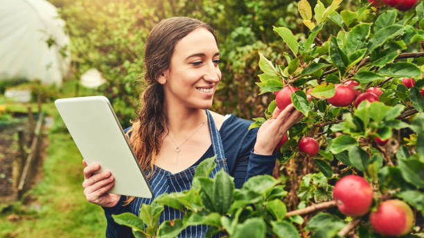 istock We'll get a great harvest out of this 1095958210