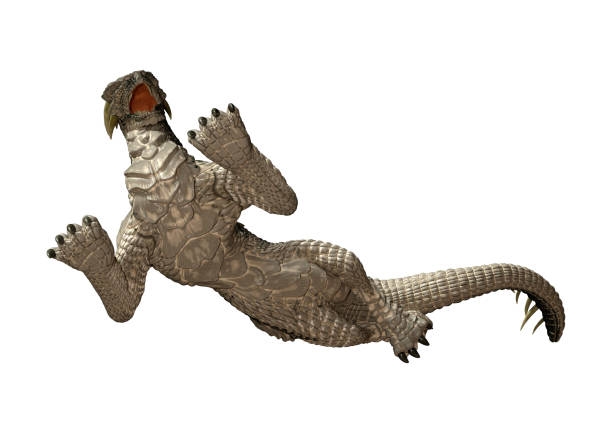 istock 3D illustration fantasy dragon on white 1095960802