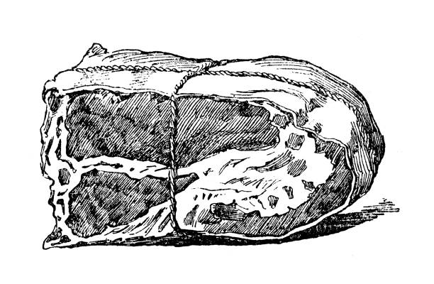 Antique old French engraving illustration: Ox beef meat section