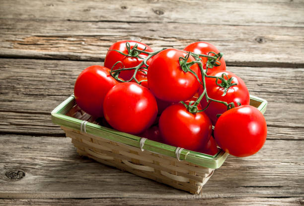 istock Ripe tomatoes in a basket. 1095972438