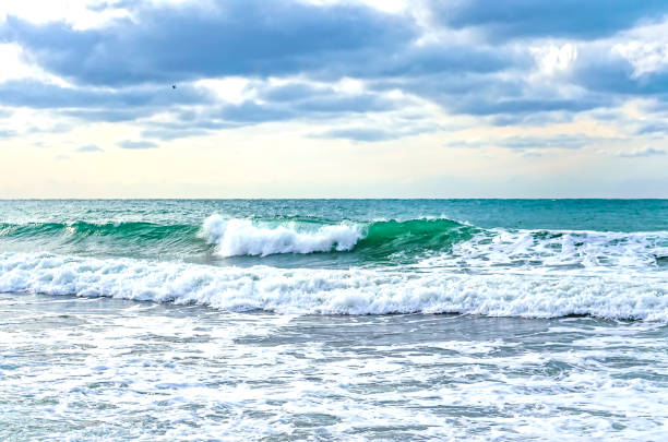 A strong wind rolls the waves to the shore on the Black sea.