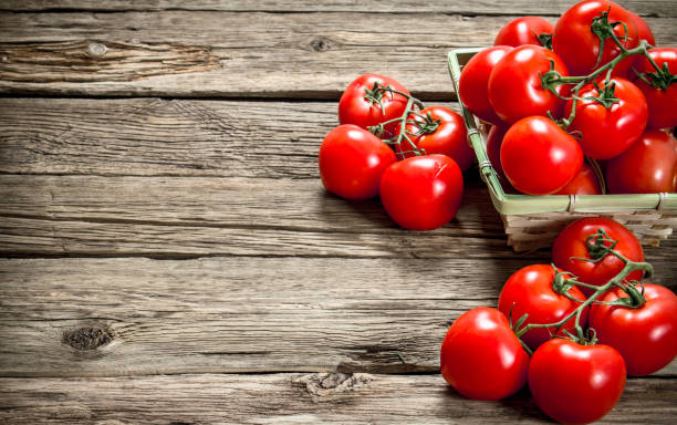 istock Ripe tomatoes in a basket. 1095972642