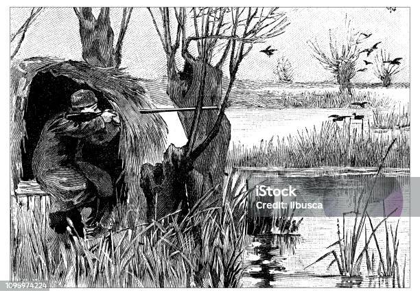 Antique Old French Engraving Illustration Duck Hunt Stock Illustration - Download Image Now