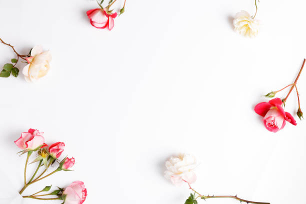 istock Festive flower composition on the white wooden background. Overhead view 1095976186