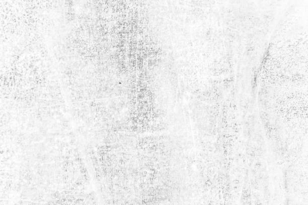 istock Texture of black and white lines, scratches, dots 1095977044