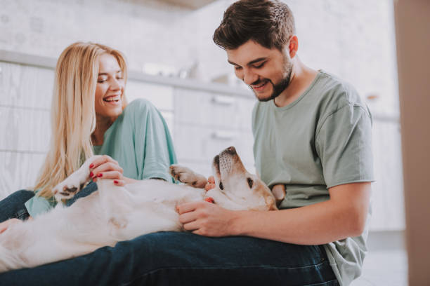 istock Young married couple playing with their pet 1095983466