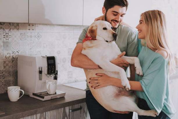 istock Young laughing couple with their dog in kitchen 1095983490