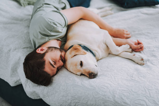 istock Pleasant bearded man sleeping with his dog in bed 1095983686