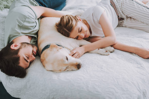 istock Nice young couple sleeping in bed with their dog 1095983696