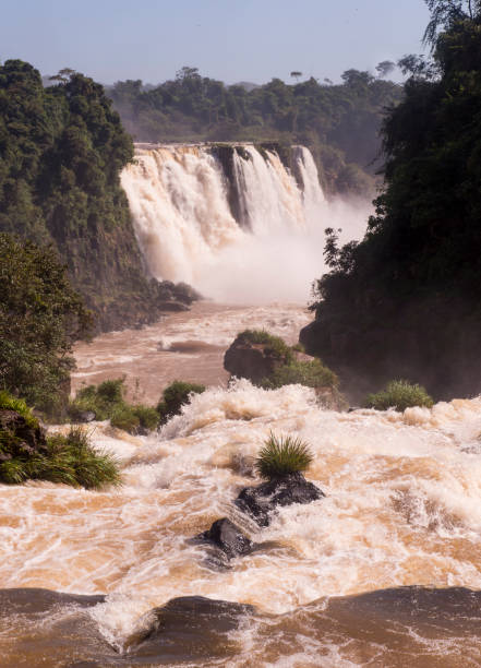 istock Iguacu national park waterfalls 1095983776