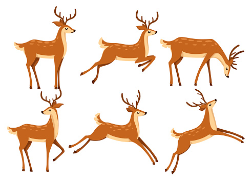 Brown deer icon set. Deer run and jump. Hoofed ruminant mammals. Cartoon animal design. Cute deer with antlers. Flat vector illustration isolated on white background.