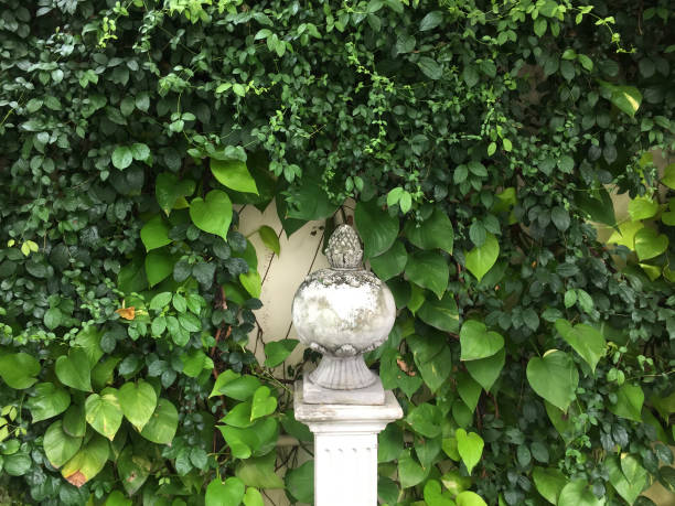 A digitally altered background photo of a Saint Francis of Assisi garden statue.
