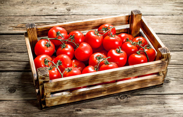 istock Ripe tomatoes in a wooden box. 1095992240