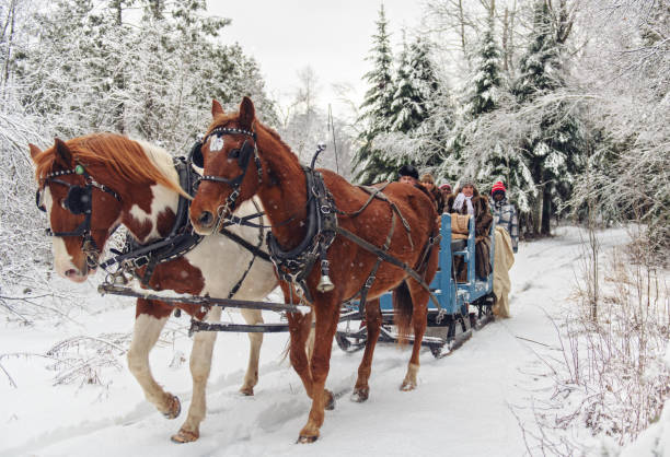 multi-ethnischen gruppe schlitten fahren - sleigh stock-fotos und bilder