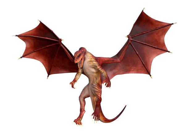 istock 3D illustration red fantasy dragon on white 1095999132