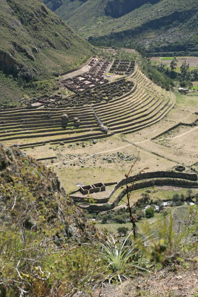 istock Ancient dwelling ruins and tillage in Machu Picchu, Peru 1096003982
