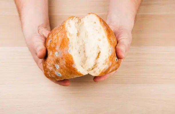 Photo of hands bad  bread table