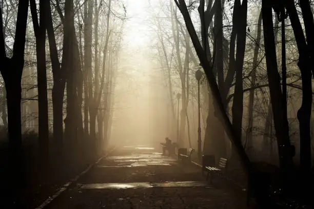 A dance of light and shadows draw the attention of a guitarist to play some notes and of a photographer to capture them all