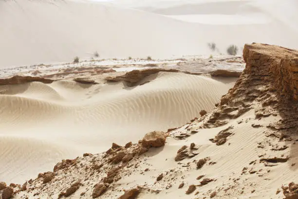 desert, sandy dune of the New Zealand - Landscape - Image