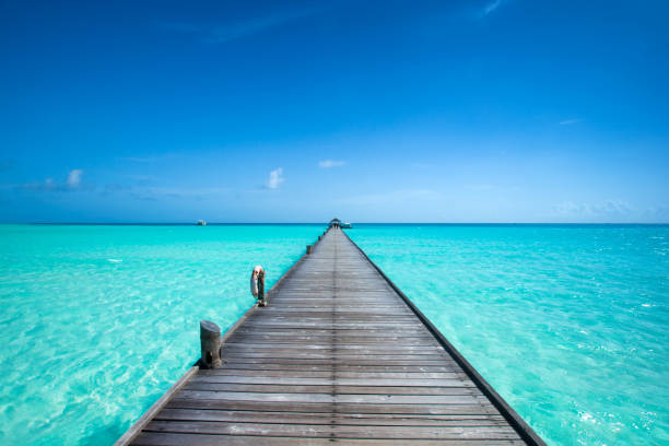 istock tropical Maldives island with white sandy beach and sea 1096015600