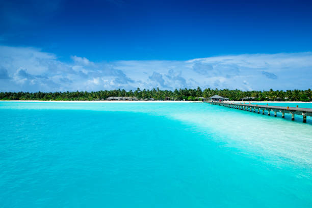 istock tropical Maldives island with white sandy beach and sea 1096015604