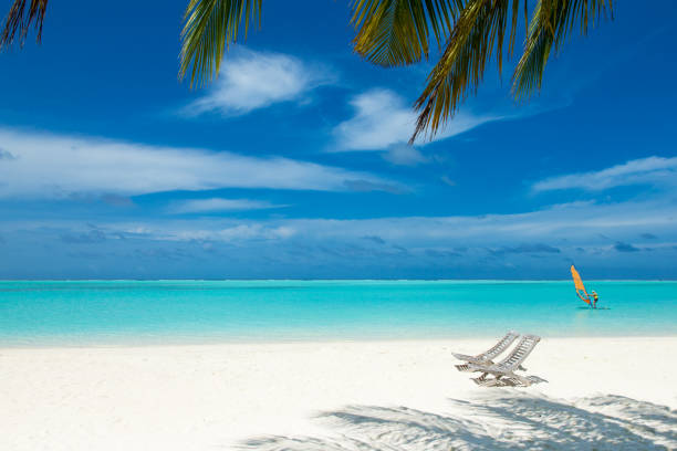 istock tropical Maldives island with white sandy beach and sea 1096015638
