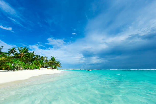 istock tropical Maldives island with white sandy beach and sea 1096015646