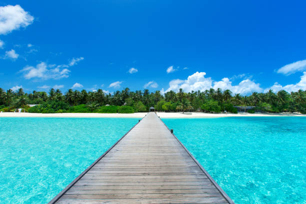 istock tropical Maldives island with white sandy beach and sea 1096015652
