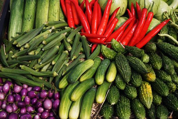 istock Tropical fruit and vegetable display, bitter gourd, pepper, eggplant, cucumber, okra, healthy variety food concept 1096015996