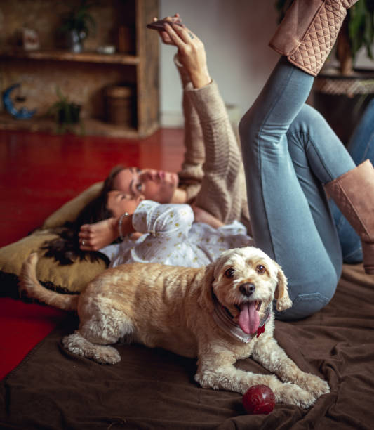 Relaxing mood. Vertical photo of a happy dog. In the background mother and daughter using mobile phone beautiful mexican girls stock pictures, royalty-free photos & images