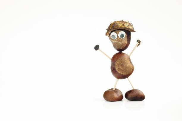 Funny human shape character or figurine made with chestnuts in white isolated background.
