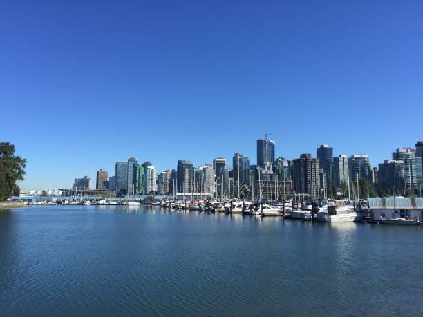 istock Boats in harbour in calm water 1096027130
