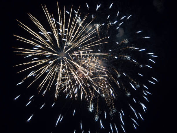 istock Fireworks, salute with the black sky background 1096031774