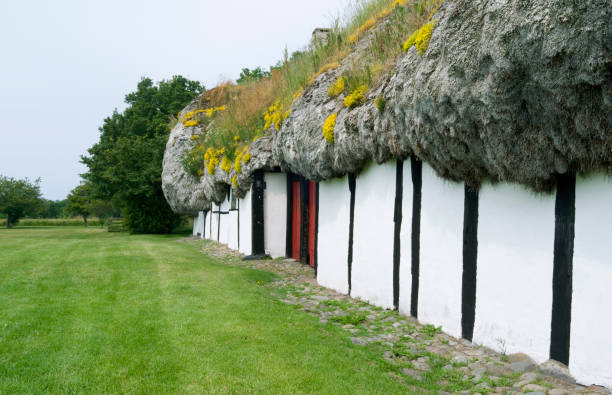 denmark: exterior wall of an old half-timbered farmhouse thatched with a seaweed roof - thatched roof imagens e fotografias de stock